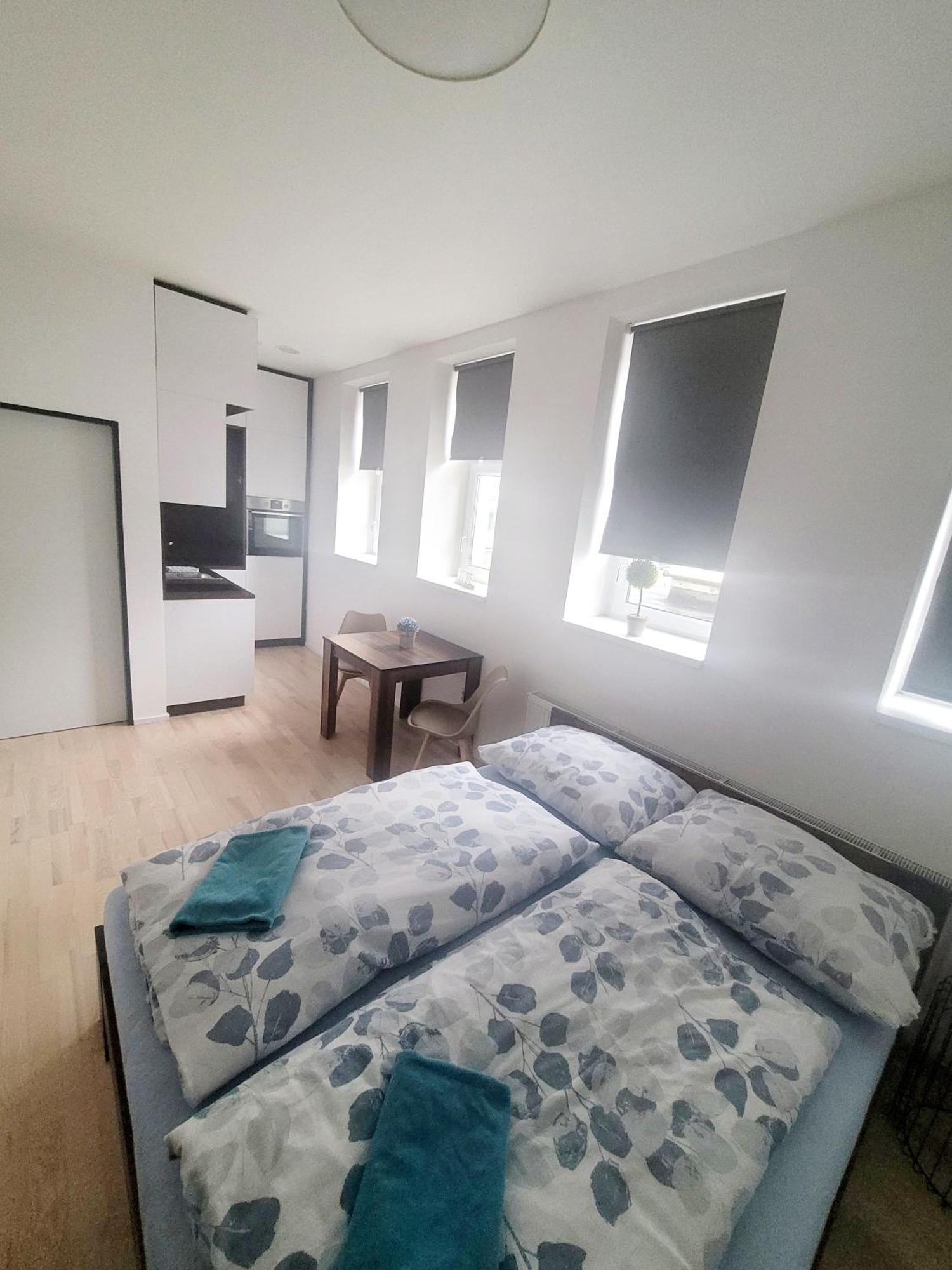 Apartment Skorepka15 Brno-stred *
