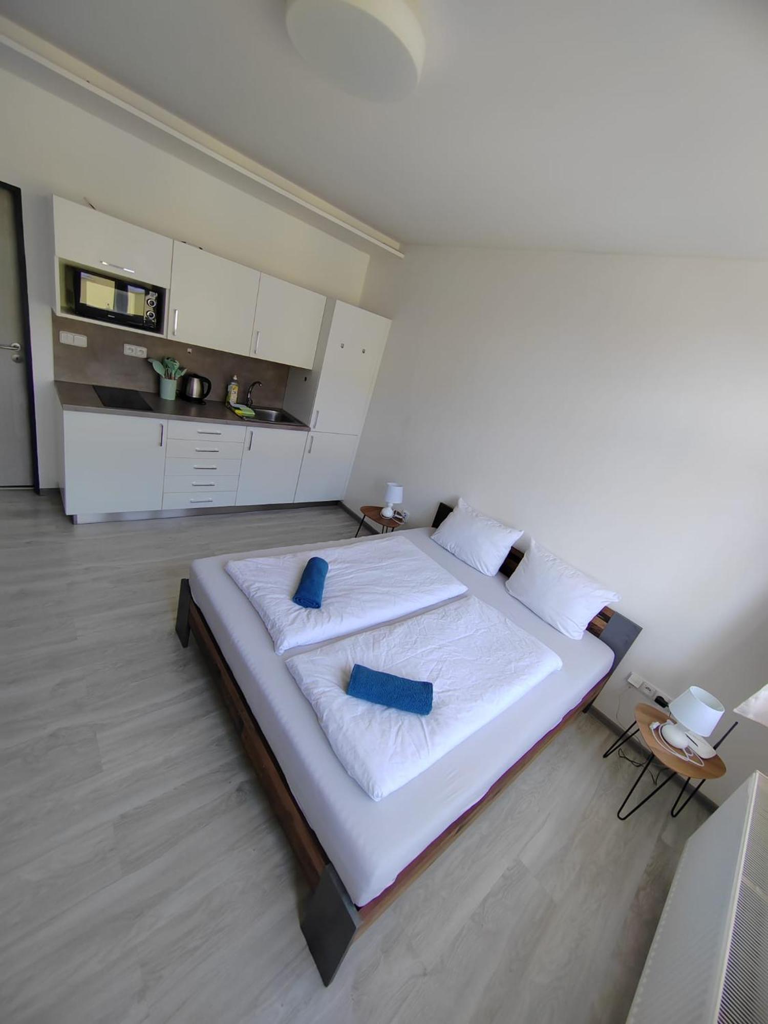 Apartment Skorepka15 Brno-stred Brno