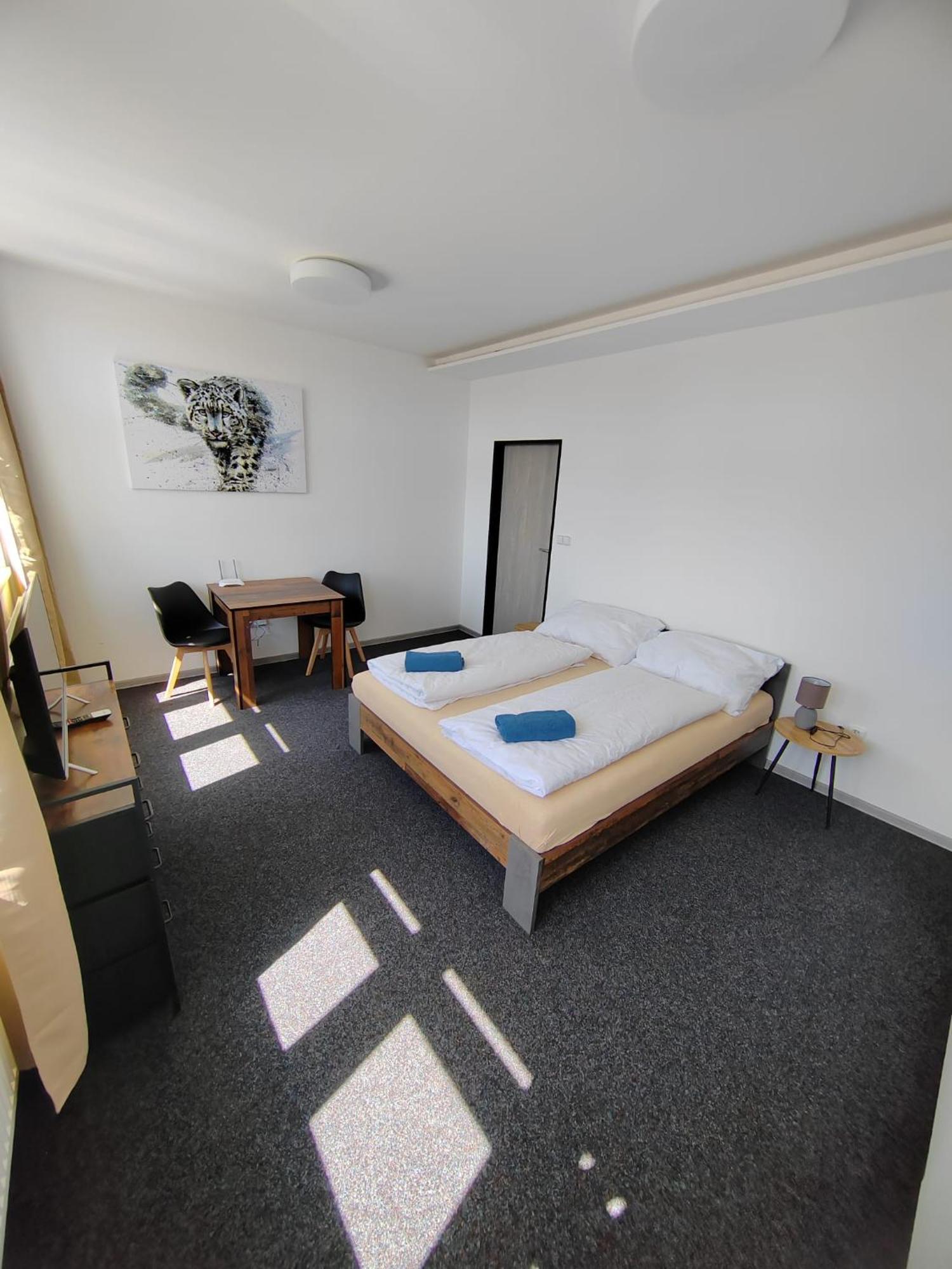 Apartment Skorepka15 Brno-stred