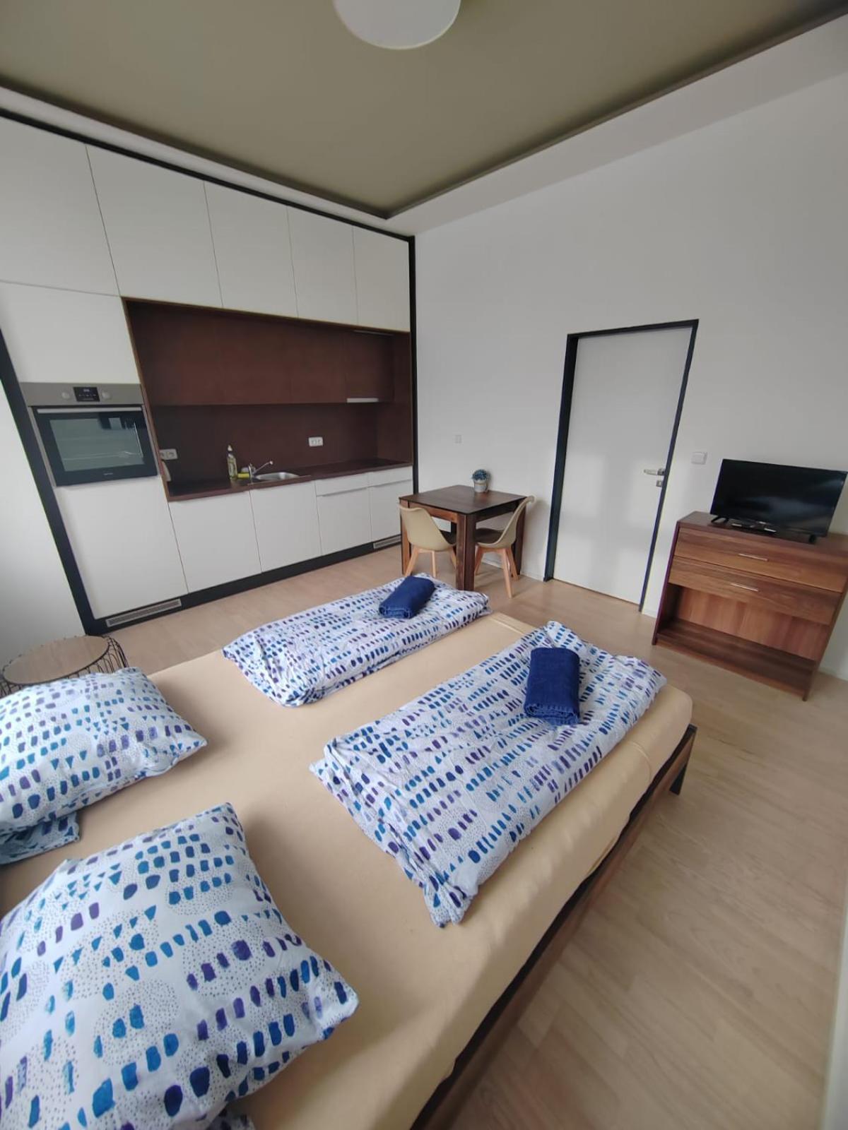 Apartment Skorepka15 Brno-stred