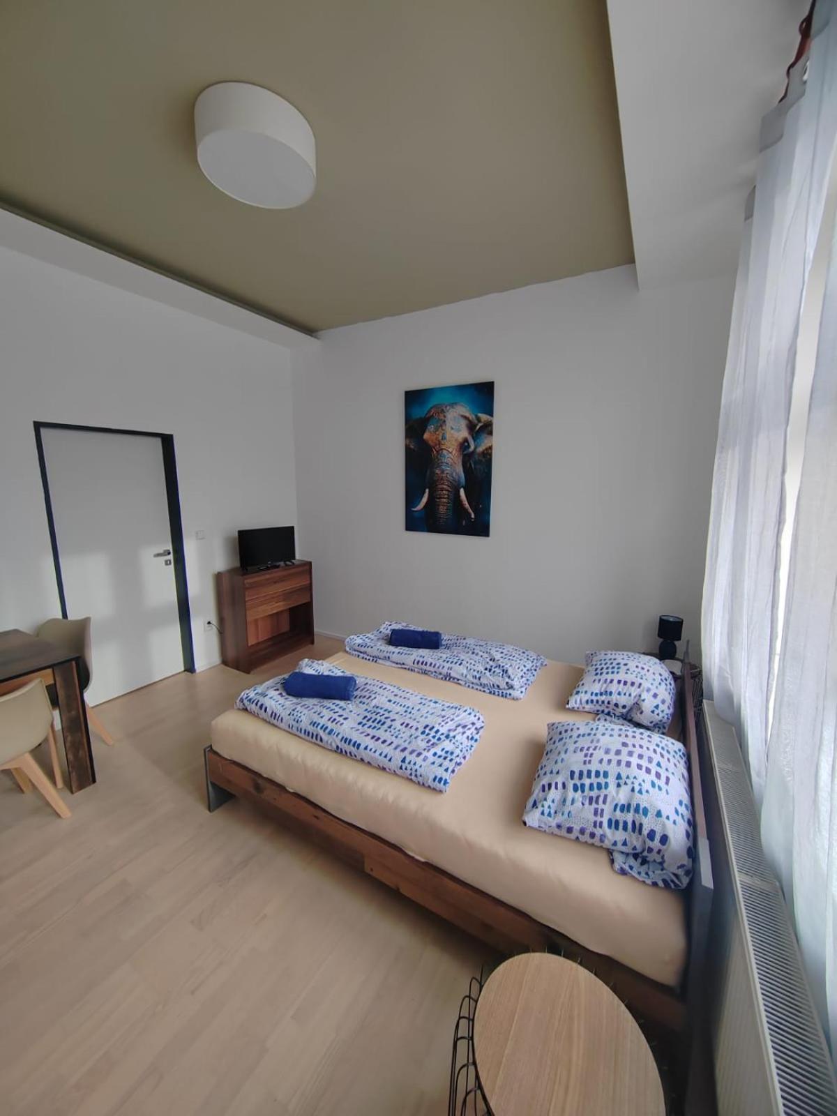 Apartment Skorepka15 Brno-stred *