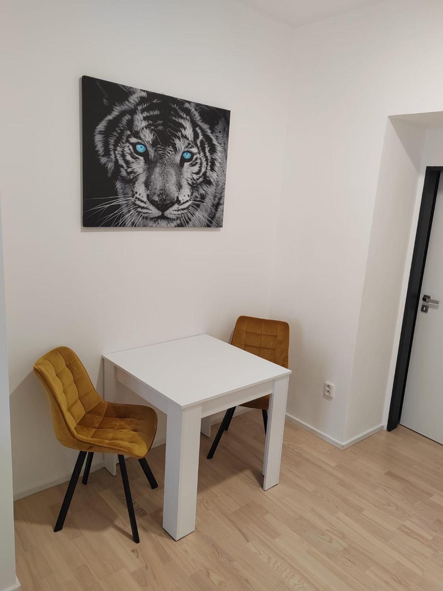Apartment Skorepka15 Brno-stred *